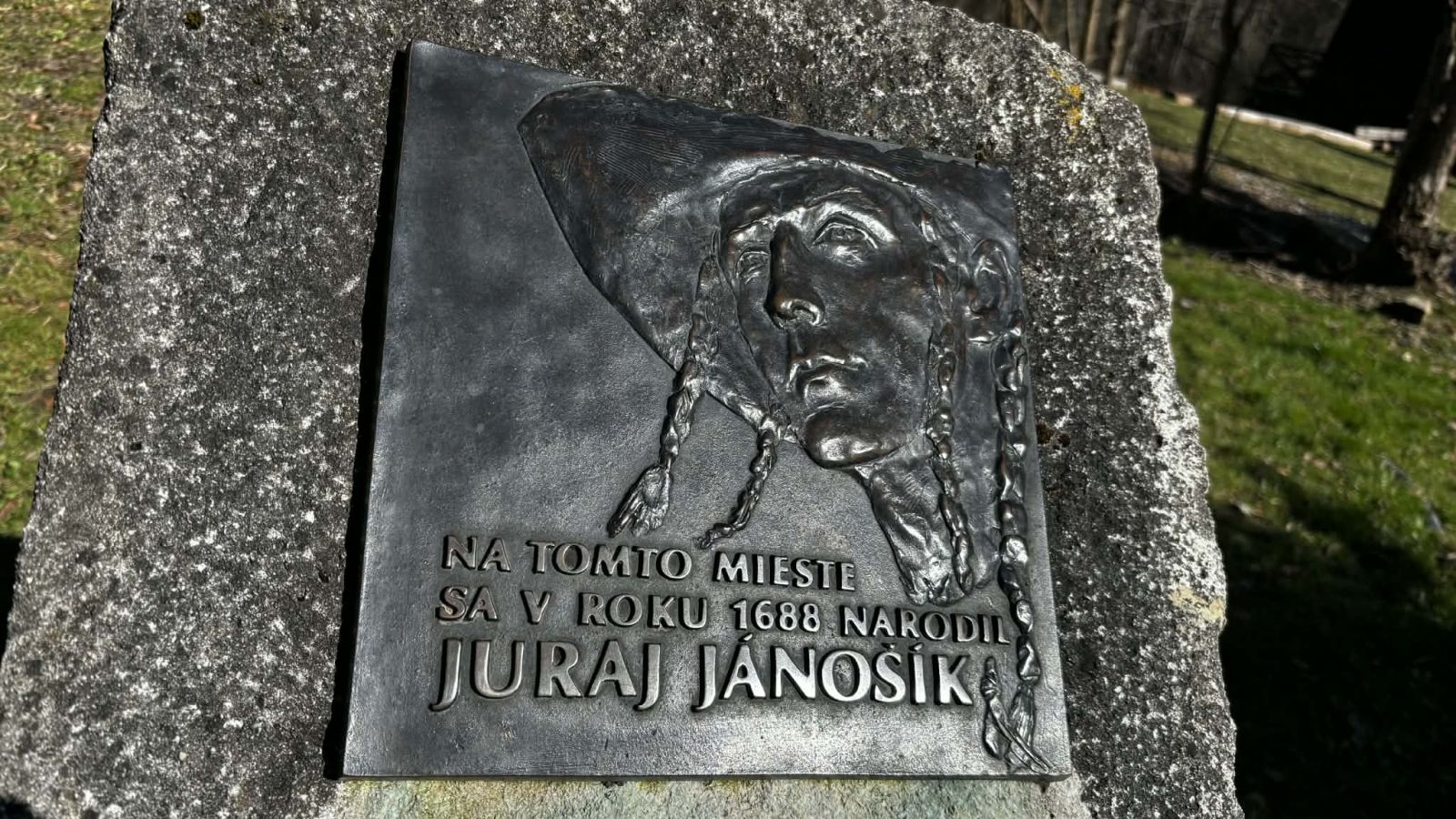 janosovia smrekovci 2026 011