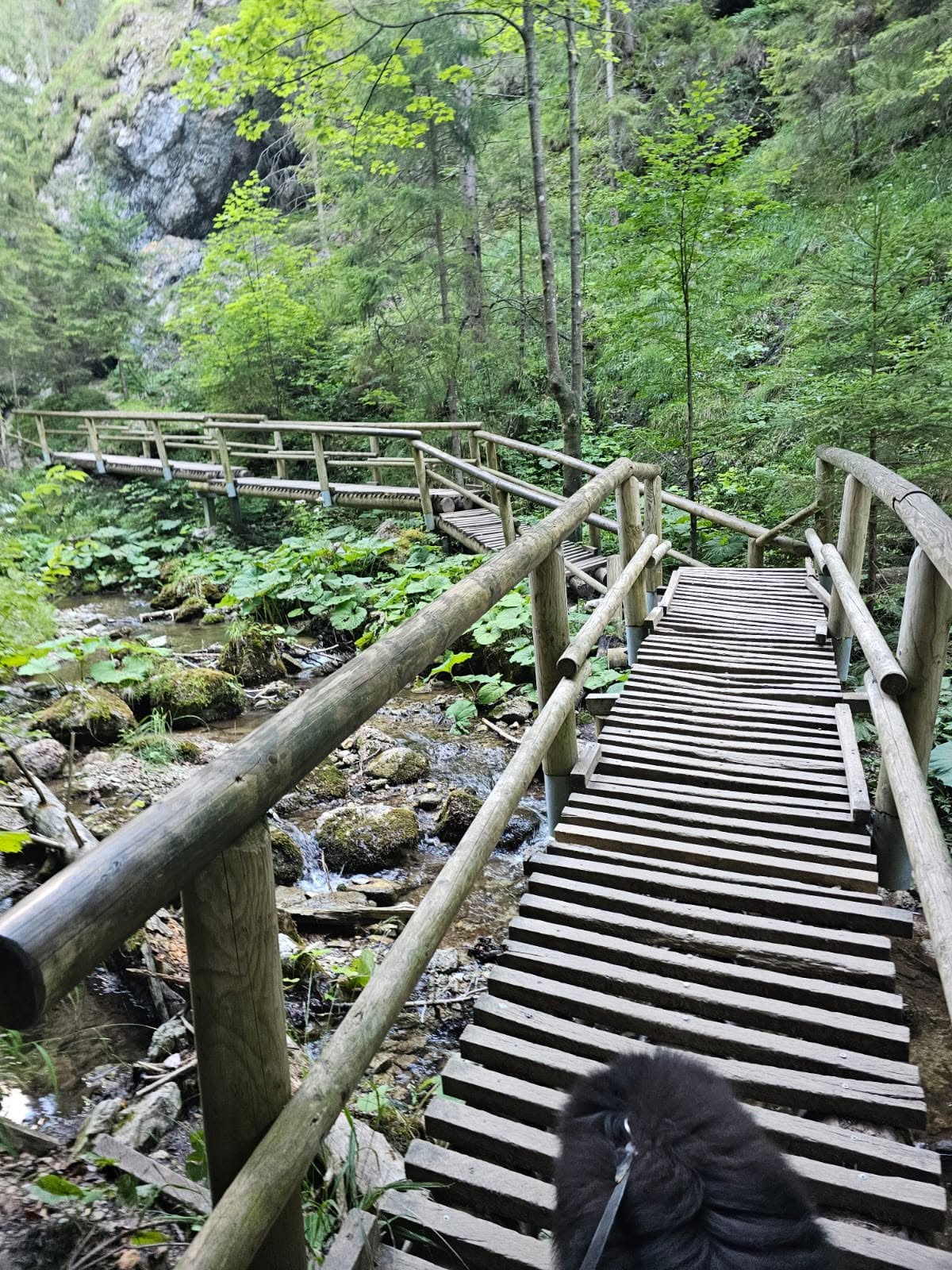 lavky terchova uvod