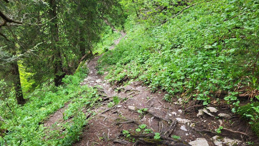 chrbat stohu stohova skratka mala fatra chodnik