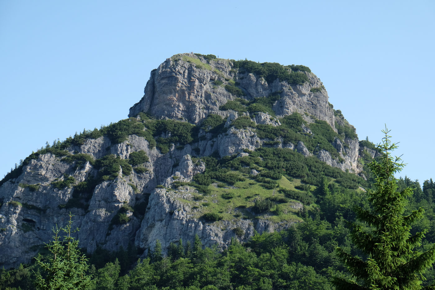 turisticka trasa na maly rozsutec